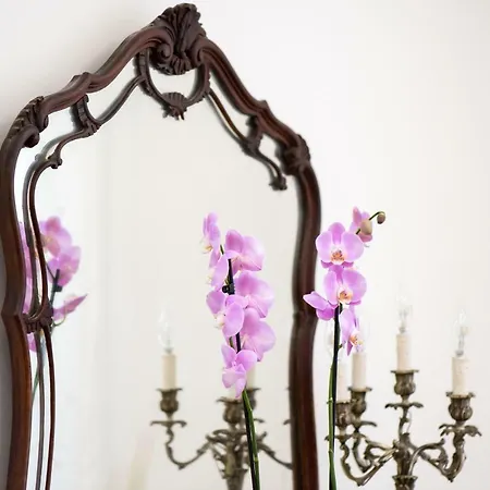 Appartamento Circus Maximus N 1-at 400m Metro