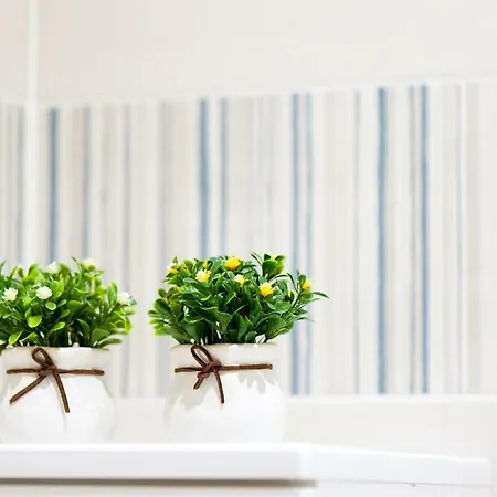 Apartamento Circus Maximus N 1-at 400m Metro Roma